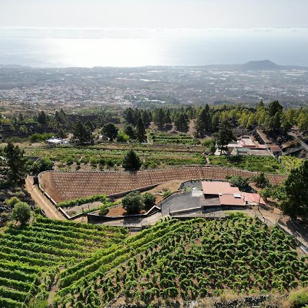 Finca Ecologica Ferrera. Alojamiento Rural. Arafo ภายนอก รูปภาพ