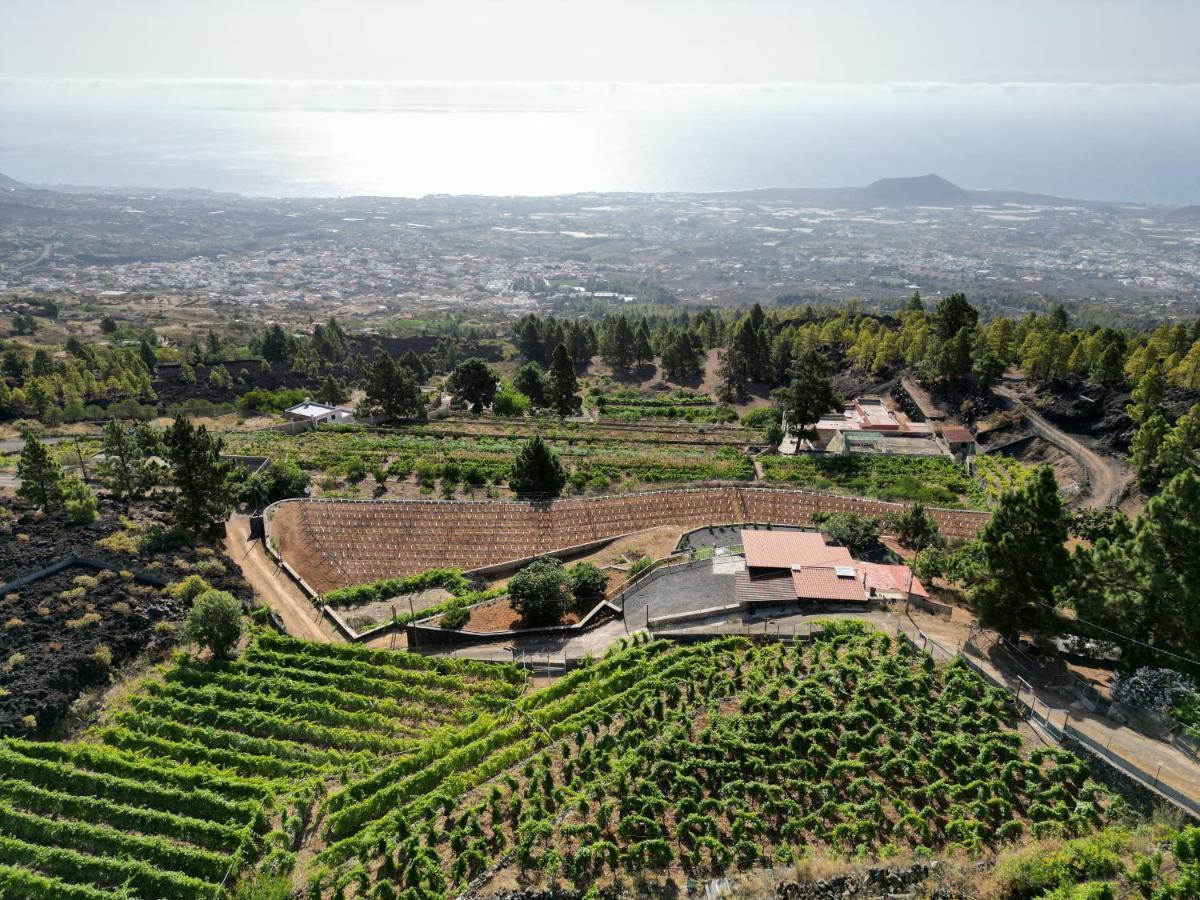 Finca Ecologica Ferrera. Alojamiento Rural. Arafo ภายนอก รูปภาพ